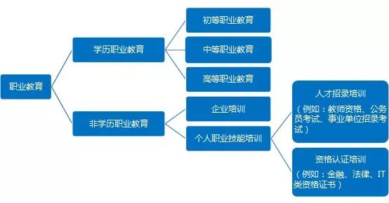 職業教育需求旺盛，兩大領域成為剛需